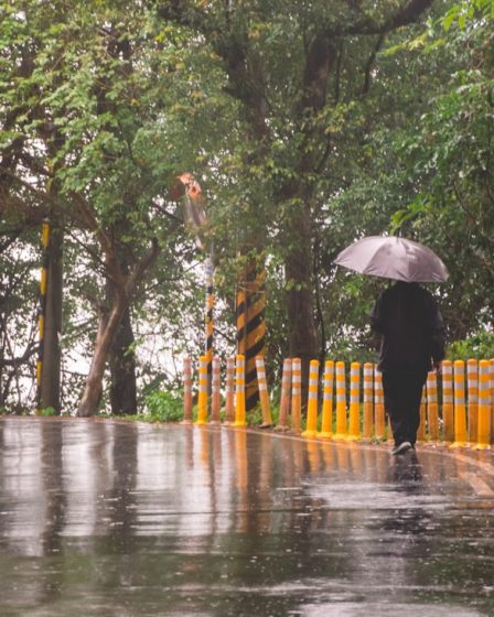 person walking on street while raining and holding umbrella