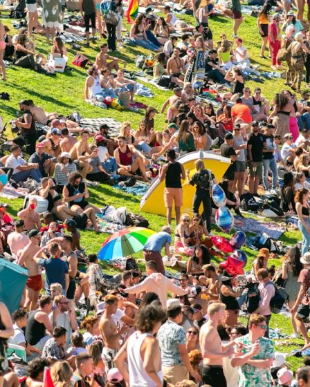 people sitting on green grass field during daytime
