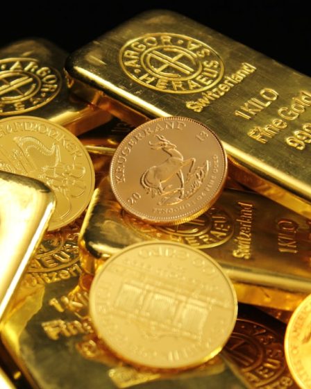 gold and silver round coins