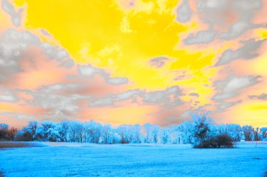 a blue field with trees and clouds in the background