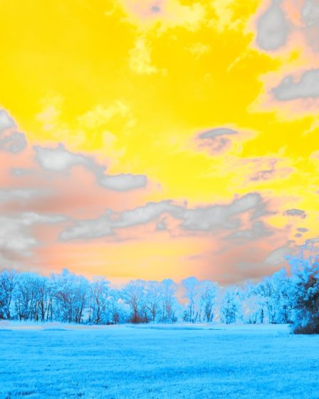 a blue field with trees and clouds in the background