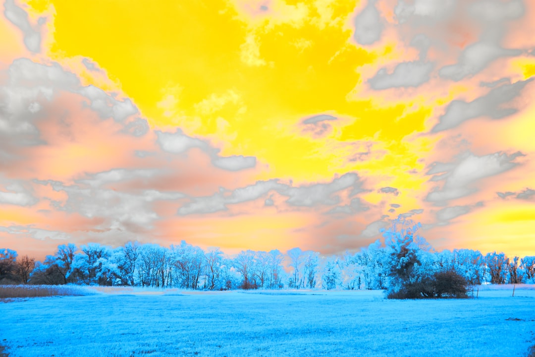a blue field with trees and clouds in the background