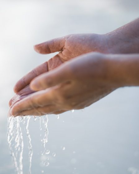 a close-up of hands shaking