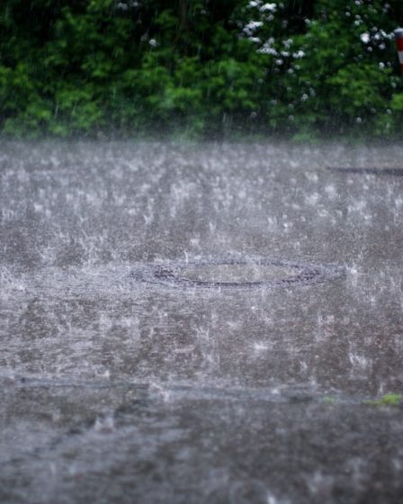 water droplets on gray concrete road
