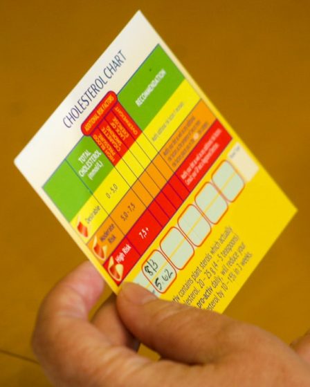 person holding card