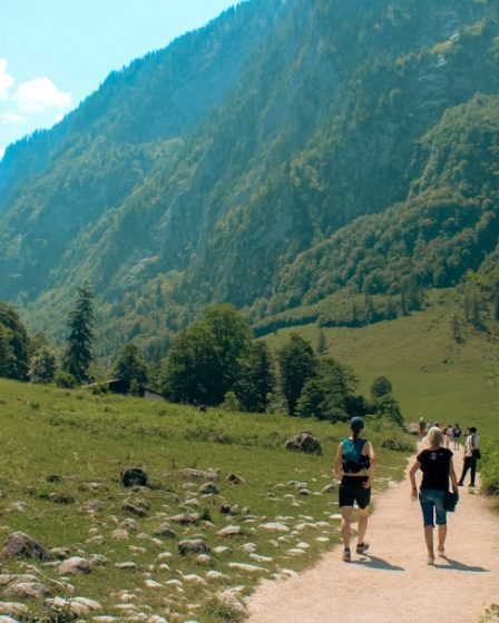 People walking on a path through green mountains and trees