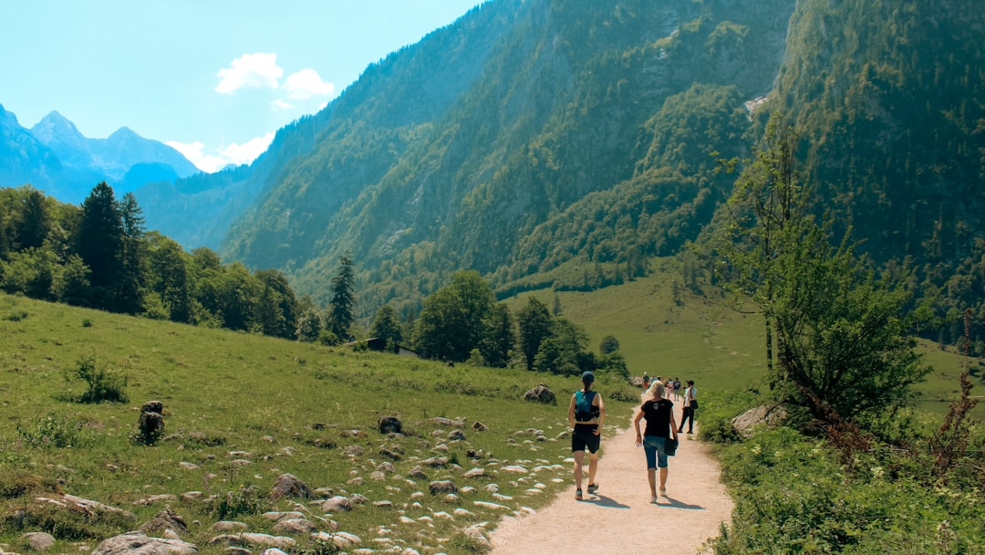 People walking on a path through green mountains and trees